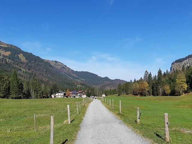 Hundetreffen 2019 im Allgäu (2)
